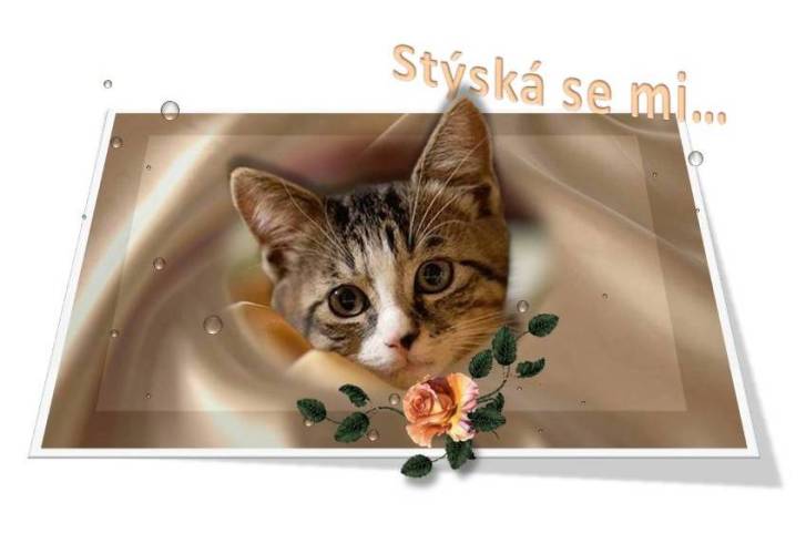 stýská se mi 4.jpg